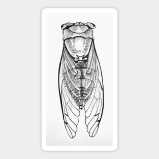 Cicada - theartproject Sticker